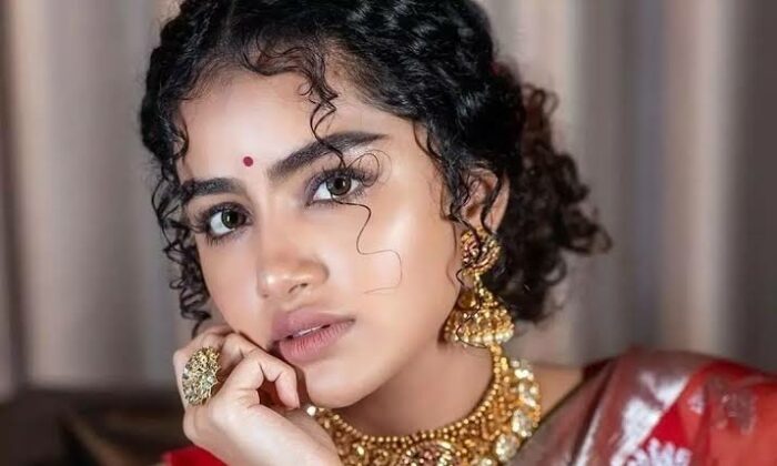 Anupama Parameswaran :కన్ఫ్యూజన్ లో అనుపమ కెరీర్..తరువాత సినిమా పై రాని క్లారిటీ..