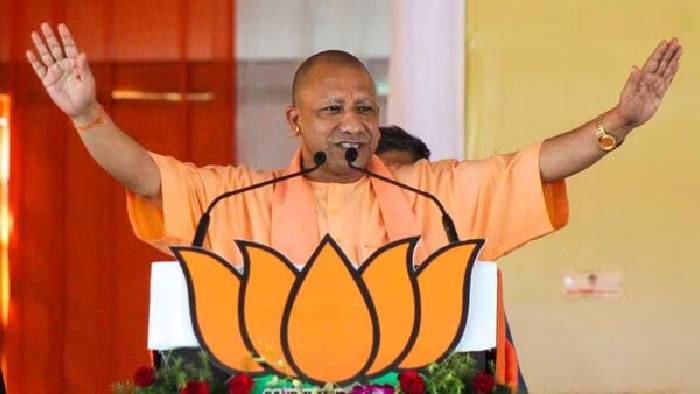 Cm Yogi