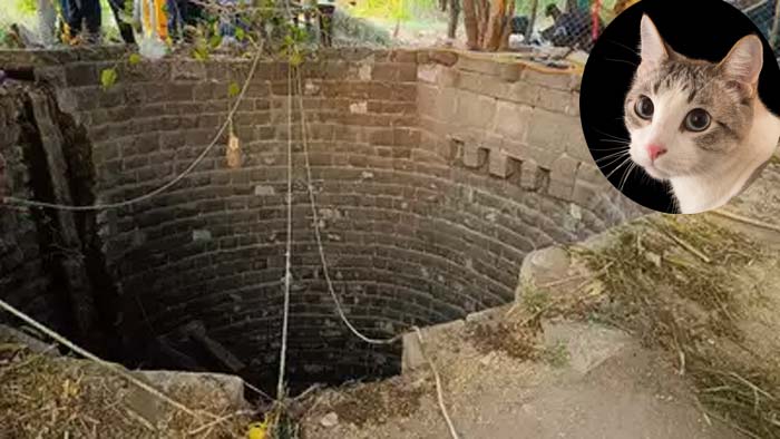 Maharashtra: ఘోరం.. పిల్లిని రక్షించబోయి బావిలో పడి ఐదుగురి మృతి