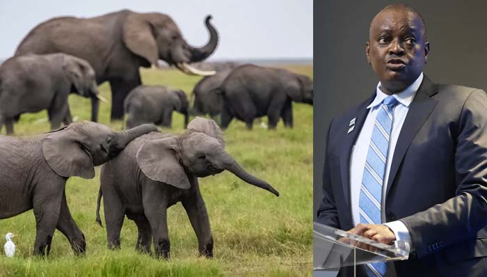 Germany: జర్మనీని హెచ్చరించిన బోట్సువానా.. దేనికంటే..!