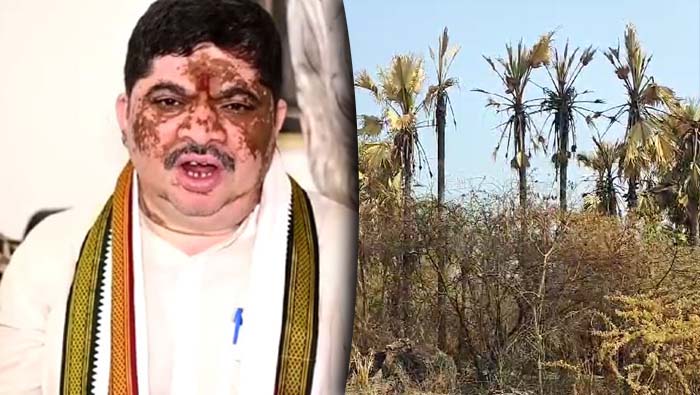 Ponnam Prabhakar: తాటి చెట్లు అగ్నికి గురికాకుండా ఉండాలి.. అధికారులకు పొన్నం సూచన