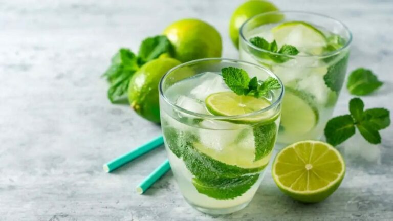 Summer Tips : వేసవిలో పుదీనా నీరు తాగడం వల్ల కలిగే లాభాలేన్నో..