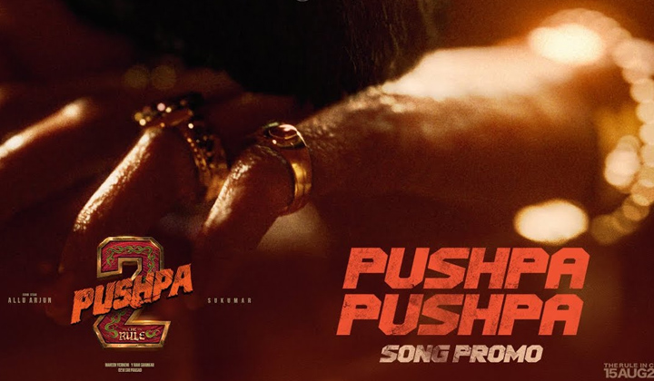 Pushpa Pushpa Song: పుష్ప టైటిల్ సాంగ్ దిగుతోంది.. ముహూర్తం పెట్టేశారు!
