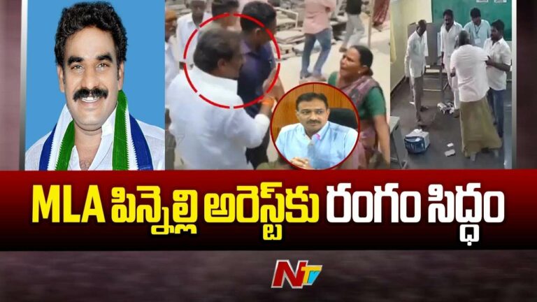 AP CEO MK Meena: ఏ1 నిందితుడిగా పిన్నెల్లి..  పది సెక్షన్ల కింద కేసులు