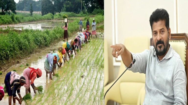 TS Govt: తెలంగాణ రైతులకు శుభవార్త.. రేవంత్ సర్కార్ కీలక నిర్ణయాలు