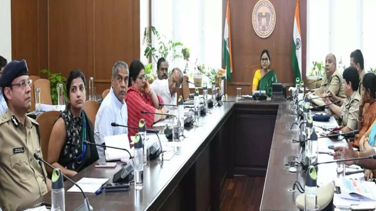 Telangana Formation Celebrations: ఘనంగా తెలంగాణ రాష్ట్ర ఆవిర్భావ వేడుకల ఏర్పాట్లు- సీఎస్