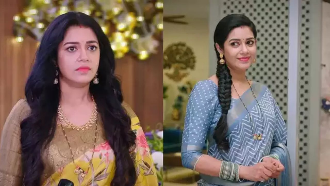 Chaya Singh: నటి ఇంట పనిమనిషి ఘాతుకం.. నమ్మించి ఏం చేసిందంటే?