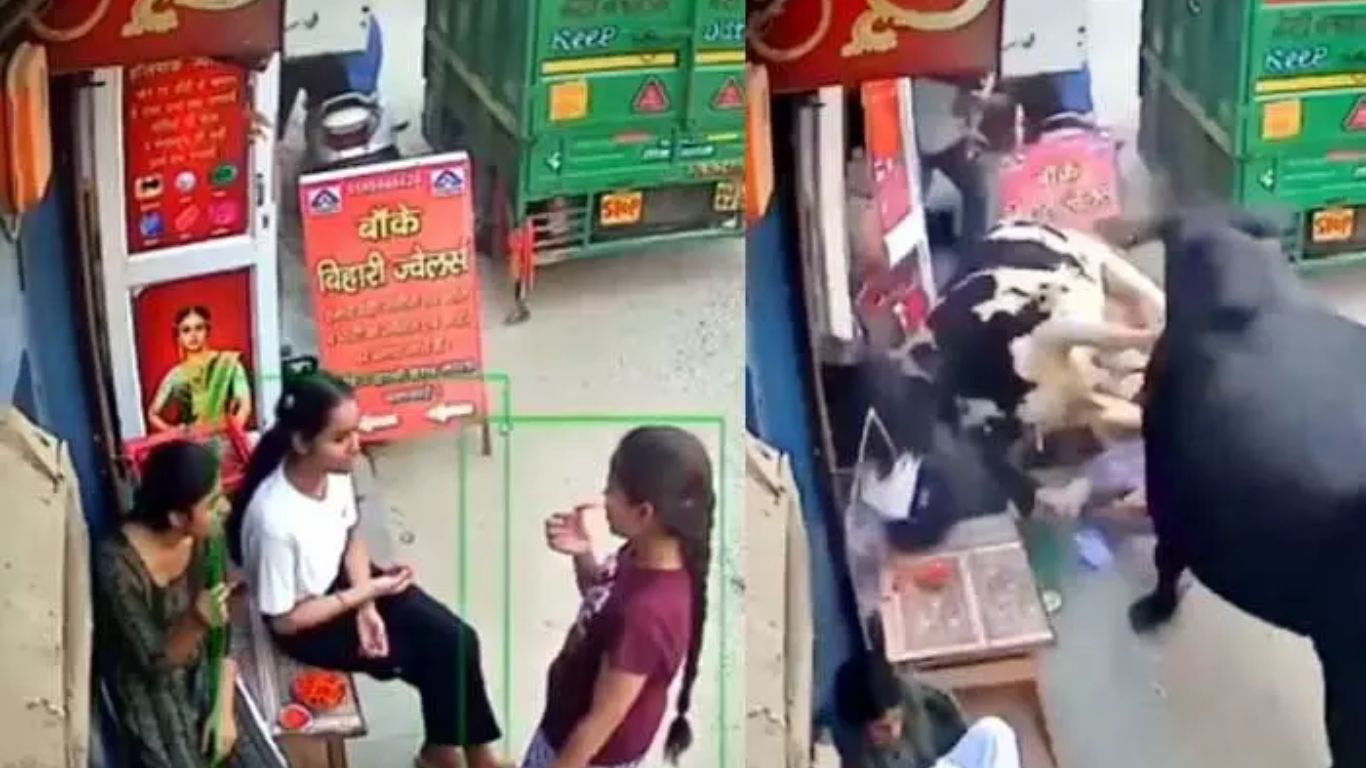 Cows Attack: ముగ్గురు బాలికలపైకి దూసుకొచ్చిన ఎద్దులు.. షాకింగ్ వీడియో..