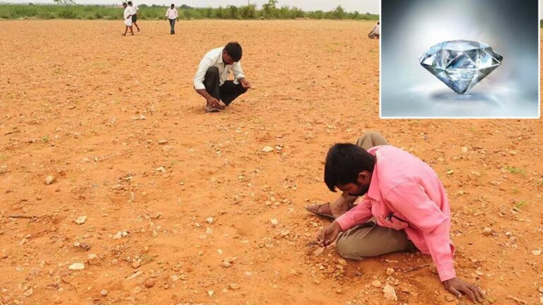 Diamond In Field: పొలంలో రైతుకి లభించిన విలువైన వజ్రం.. భారీ ధరకి..