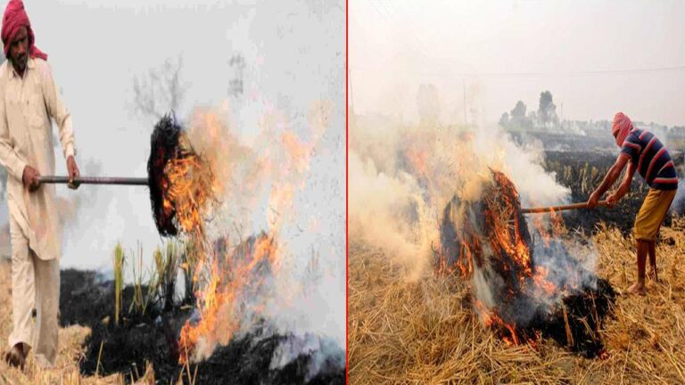 Central Government: రైతులకు బ్యాడ్ న్యూస్.. అలా చేస్తే కనీస మద్దతు ధర కట్..!