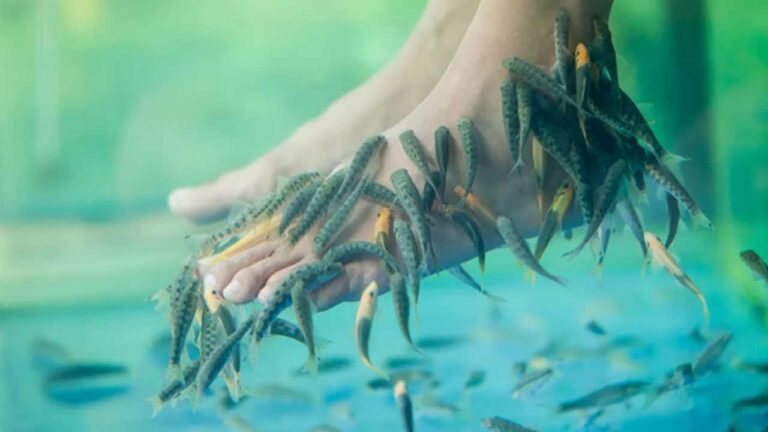 Fish Spa: ఫిష్ స్పా చేయించుకునే వారికి స్కిన్ ఇన్ఫెక్షన్ వచ్చే ప్రమాదం..