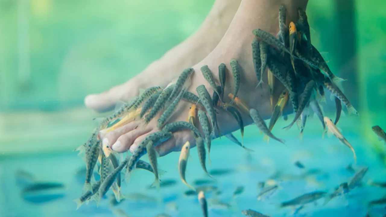 Fish Spa: ఫిష్ స్పా చేయించుకునే వారికి స్కిన్ ఇన్ఫెక్షన్ వచ్చే ప్రమాదం..