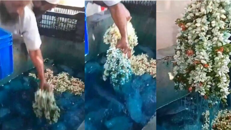 Viral Video: ఇలాంటి పూలను పెట్టుకుంటున్నారా.. అయితే ప్రమాదంలో ఉన్నట్లే..