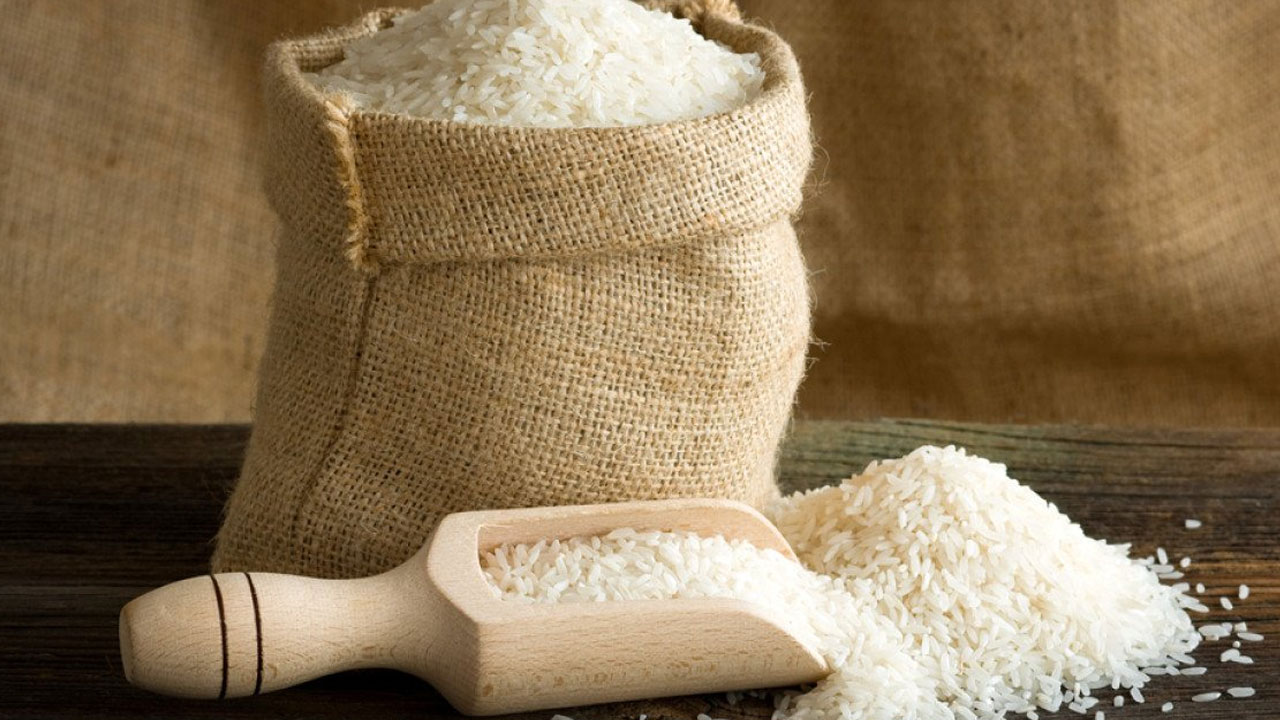 Global Rice Summit: హైదరాబాద్‌లో ప్రపంచ వరి సదస్సు.. సన్నాహాలు ముమ్మరం