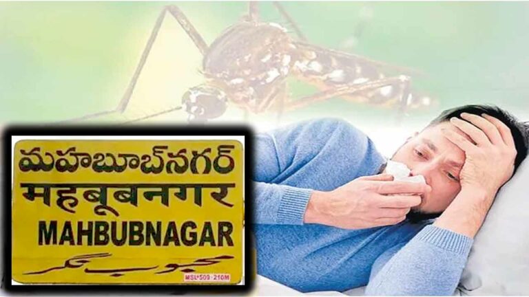 Mahaboobnagar: మహబూబ్‌ నగర్‌ లో చికెన్‌ గున్యా కేసులు.. భయాందోళనలో ప్రజలు