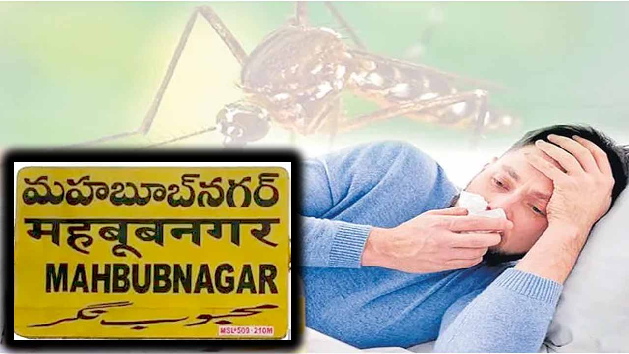 Mahaboobnagar: మహబూబ్‌ నగర్‌ లో చికెన్‌ గున్యా కేసులు.. భయాందోళనలో ప్రజలు