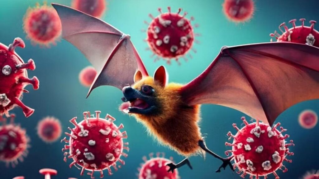 New Project 2024 05 29t103532.441