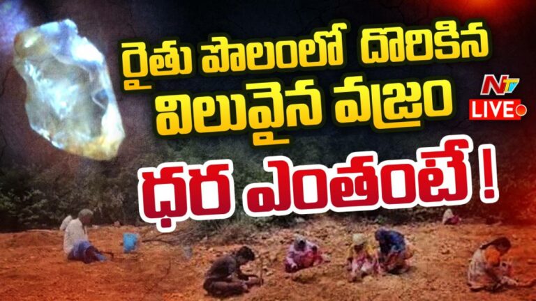Diamond: రైతు పొలంలో విలువైన వజ్రం లభ్యం.. దాని ధర ఎంతంటే..?