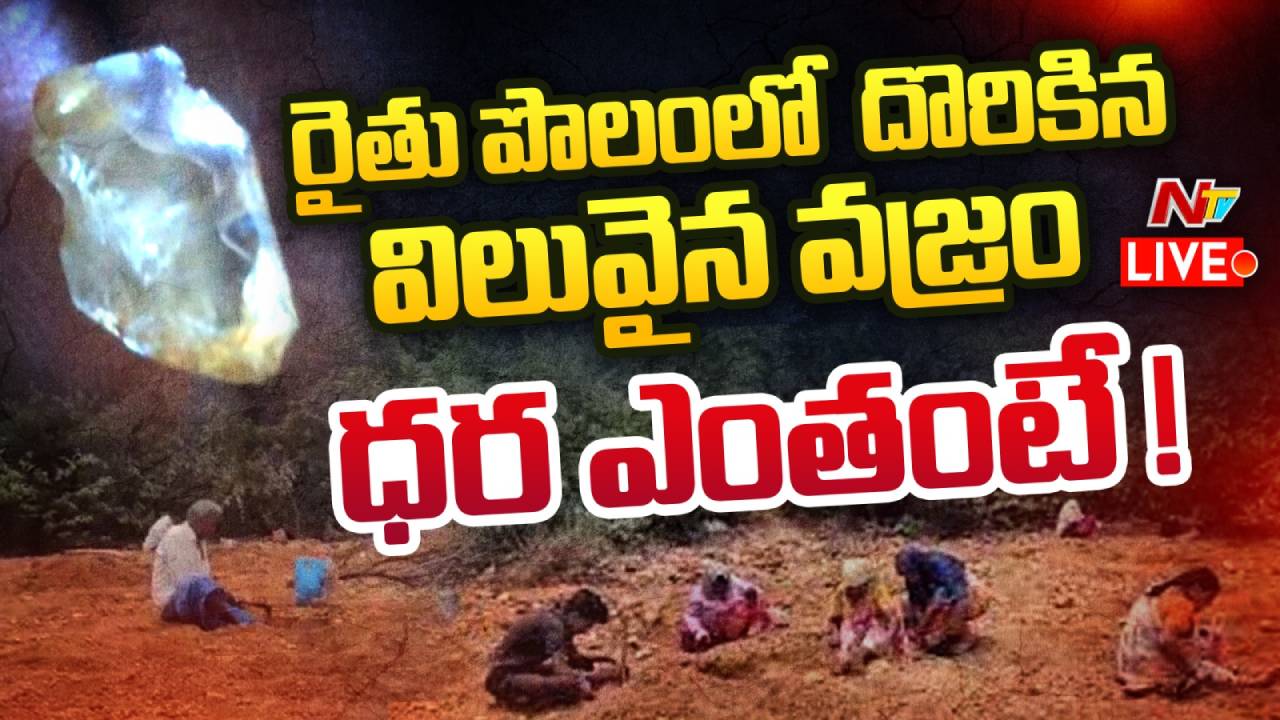 Diamond: రైతు పొలంలో విలువైన వజ్రం లభ్యం.. దాని ధర ఎంతంటే..?