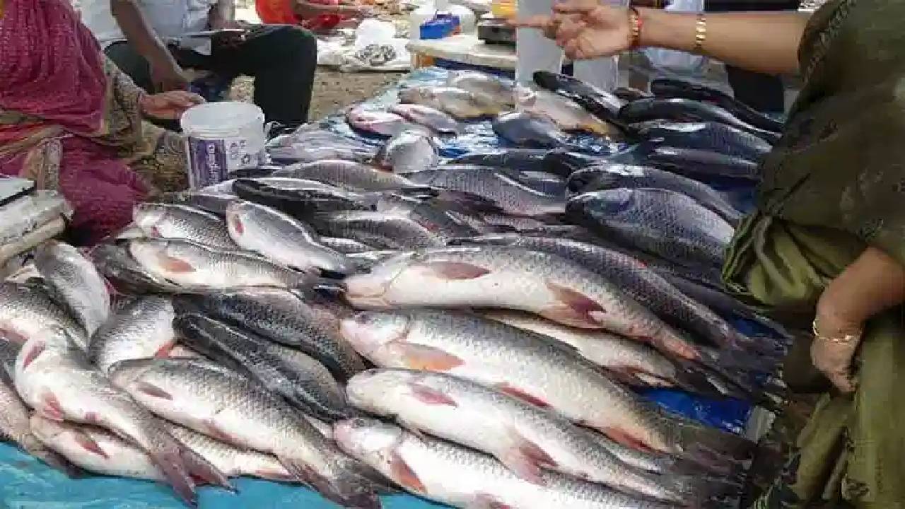 Eluru: పాతాళానికి పడిపోయిన చేపల ధరలు..ఆందోళనలో ఆక్వా రైతులు