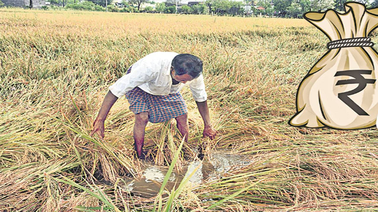 Krishna: రైతులను నట్టేట ముంచిన అధికారులు..నష్టపరిహారం సొమ్ము కాజేశారని అన్నదాతల ఆరోపణ