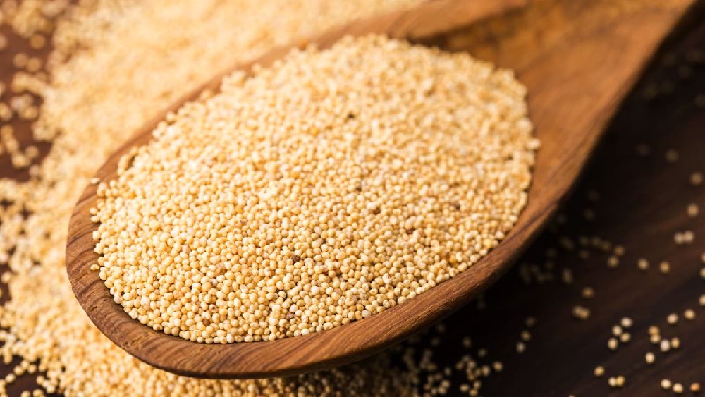 Poppy Seeds Benefits : గసగసాలు రోజూ తీసుకుంటే మహిళలకు ఎన్ని ప్రయోజనాలో తెలుసా?