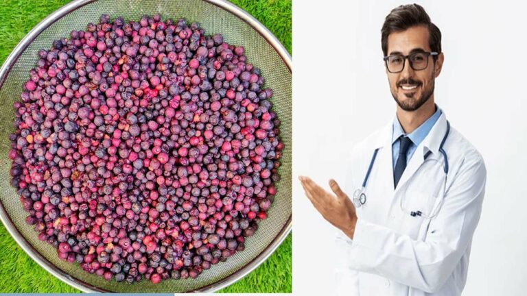 Phalsa Health Benefits: వేసవిలో ఫాల్సా పండ్లు తినండి.. గుండెకు ఎంతో మంచిది..