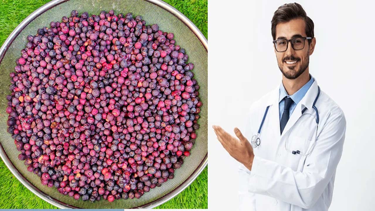 Phalsa Health Benefits: వేసవిలో ఫాల్సా పండ్లు తినండి.. గుండెకు ఎంతో మంచిది..