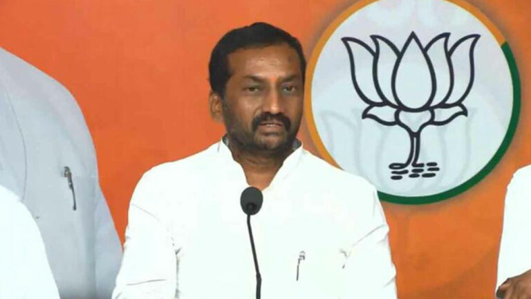 MP Raghunandan Rao: బీఆర్ఎస్ స్థానంలోకి బీజేపీ పోదు.. ఎంపీ రఘునందన్‌ రావు కీలక వ్యాఖ్యలు