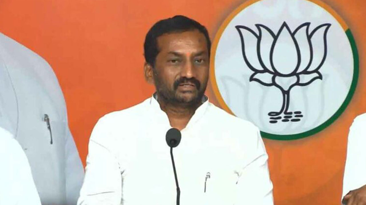 Raghunandan Rao: కాంగ్రెస్ ప్రభుత్వం సందిగ్ధంలో ఉంది..