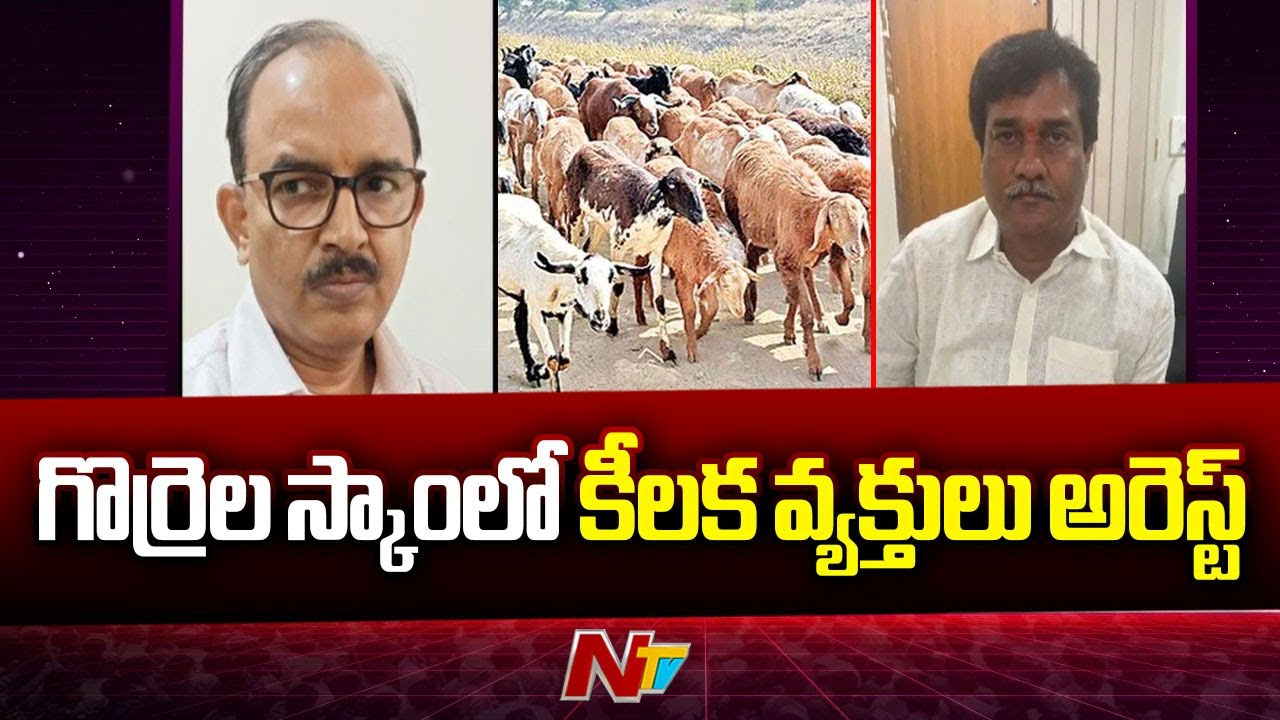 Sheep Distribution Scam: గొర్రెల స్కామ్‌లో ఏసీబీ దూకుడు.. ఇద్దరు కీలక అధికారులు అరెస్ట్
