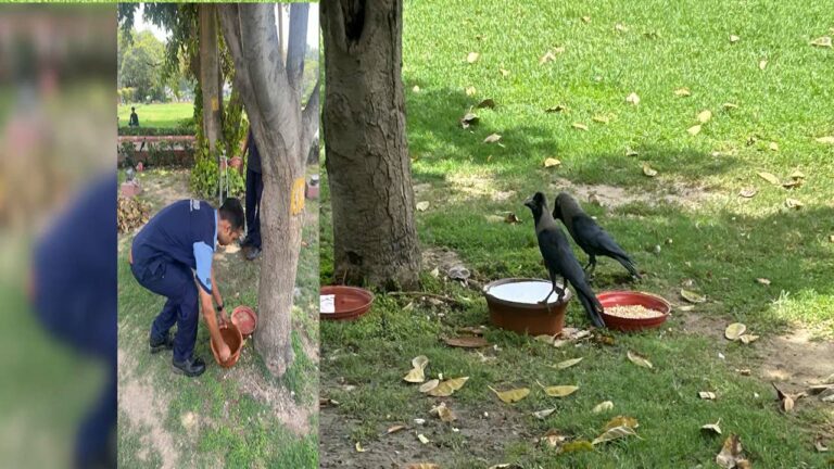 Delhi: ఢిల్లీలో తీవ్ర వేడిగాలులు.. సుప్రీంకోర్టు ఆవరణలో పక్షులకు ఆహారం, నీరు