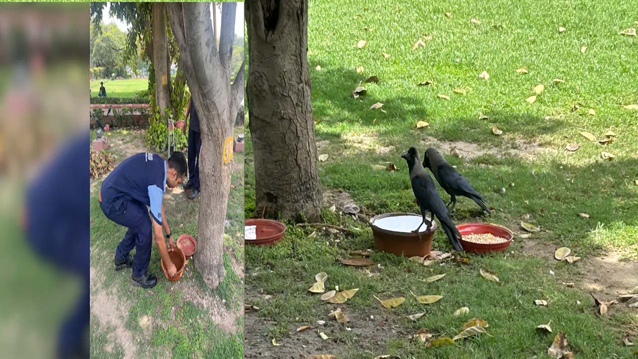 Delhi: ఢిల్లీలో తీవ్ర వేడిగాలులు.. సుప్రీంకోర్టు ఆవరణలో పక్షులకు ఆహారం, నీరు