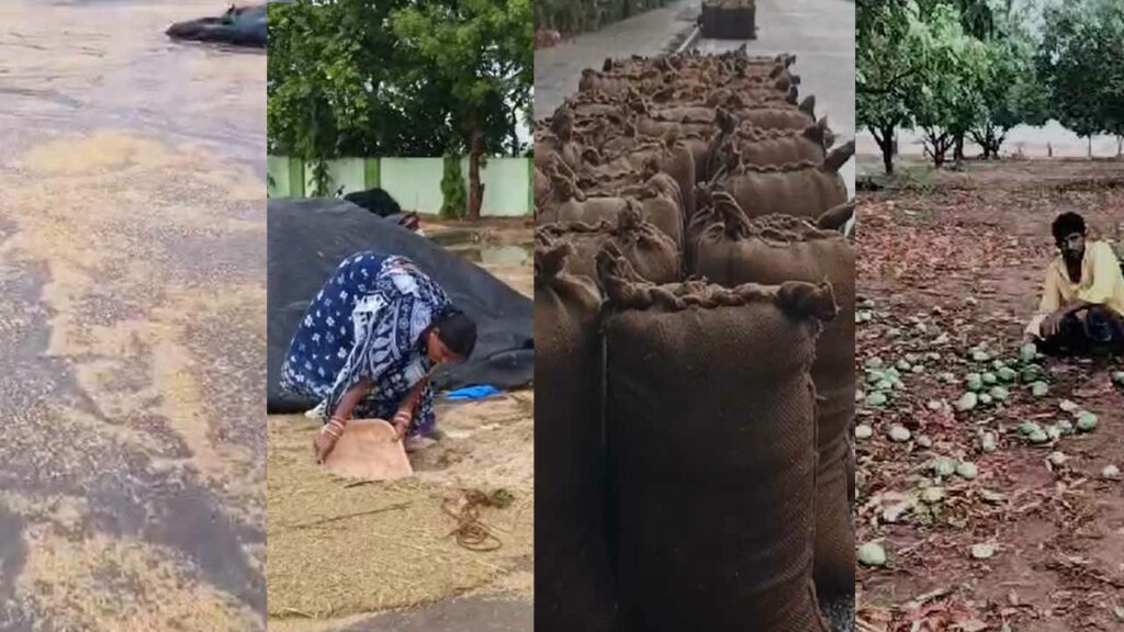 Telangana Rains