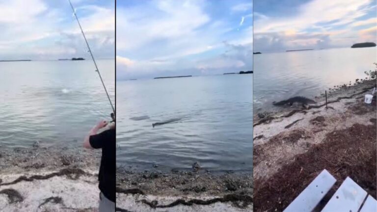 Fisher Man: తస్సదియ్యా.. చేపలు పడదామనుకుంటే ఇలా జరిగిందేంటి.. వీడియో వైరల్..