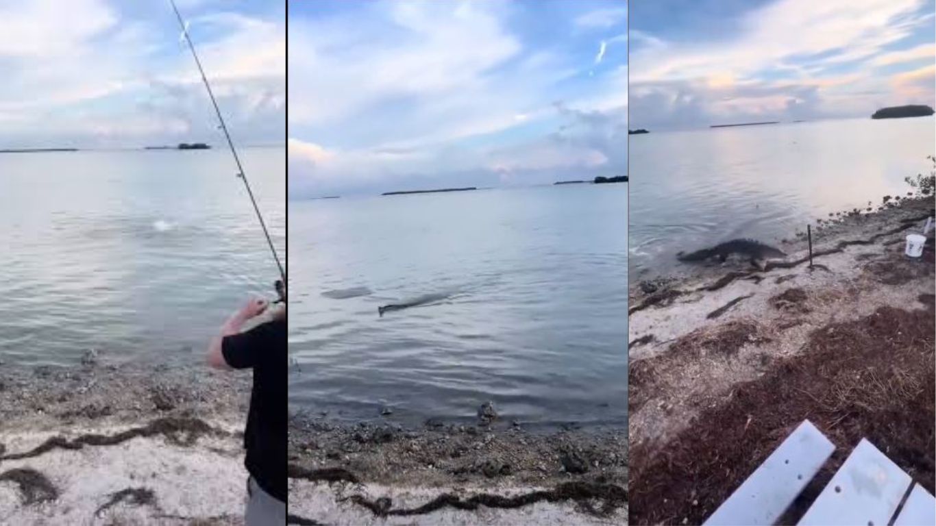 Fisher Man: తస్సదియ్యా.. చేపలు పడదామనుకుంటే ఇలా జరిగిందేంటి.. వీడియో వైరల్..