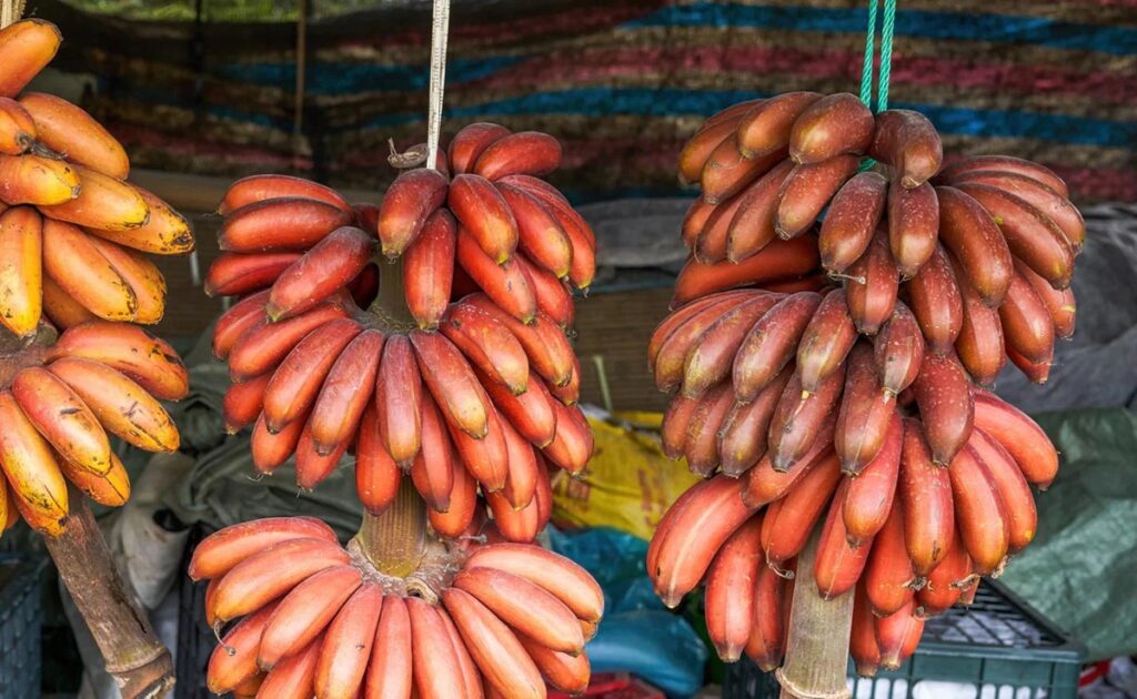 red banana