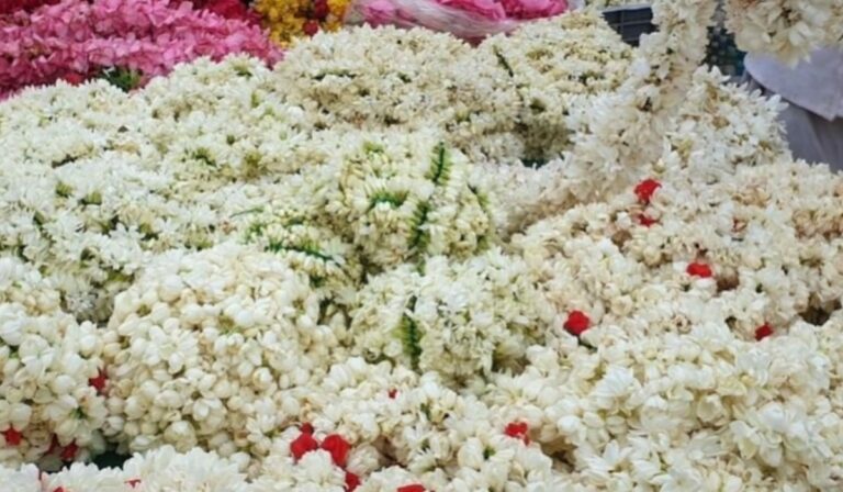 Jasmine flowers: మల్లెపూలను ఎక్కువగా పెట్టుకుంటున్నారా? మీకో షాకింగ్ న్యూస్..