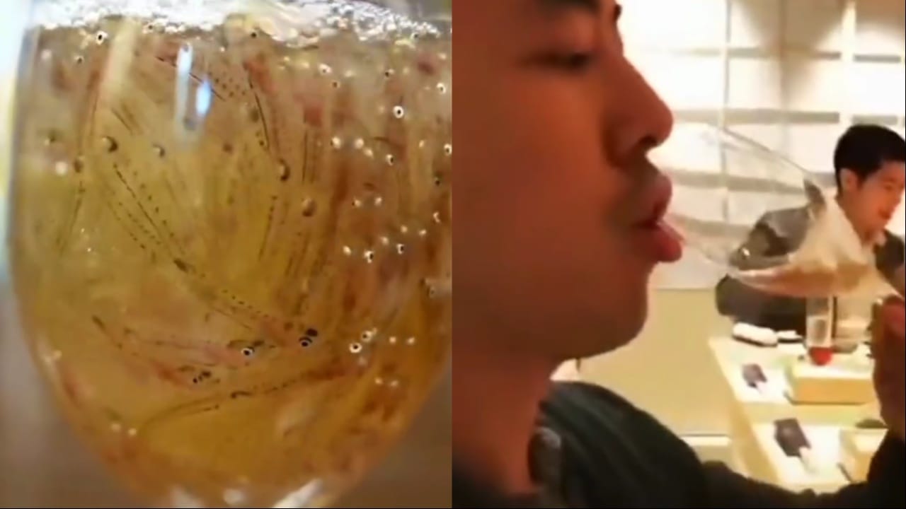 Viral Video : బ్రతికున్న చేపలతో డ్రింక్ ఏంట్రా బాబు.. వీడియో చూస్తే మైండ్ బ్లాకే…