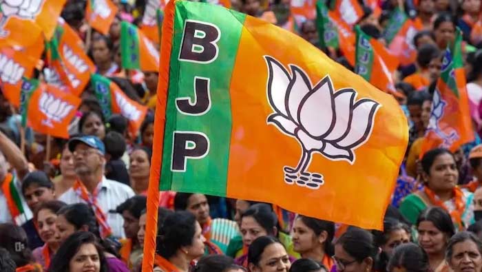 AP Elections 2024: ఎన్నికల ప్రచారంలో స్పీడ్‌ పెంచిన బీజేపీ