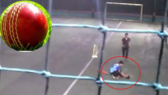 Cricket ball: ప్రాణాలు తీసిన క్రికెట్ బాల్.. సీసీ కెమెరాలో రికార్డ్