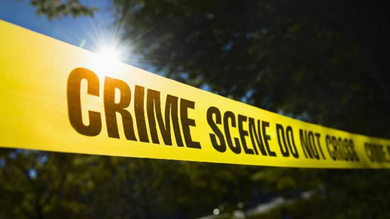 Phone Use: ఫోన్‌ ఎక్కువగా వాడుతుందని కూతురిని రాడ్⁭తో కొట్టి చంపిన తల్లి