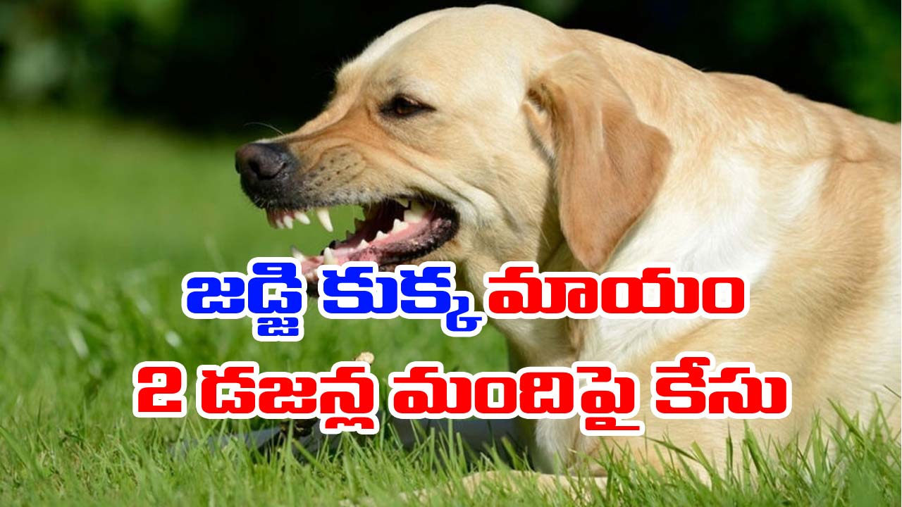 UP: జడ్జి కుక్క మాయం.. 2 డజన్ల మందిపై కేసు