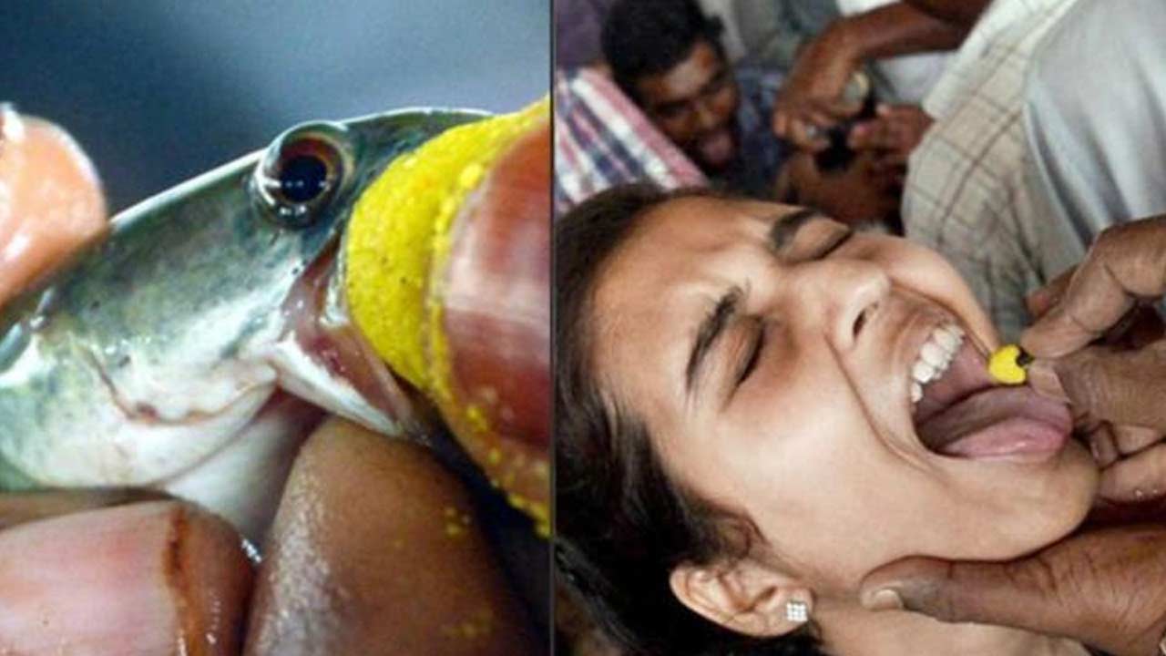 Fish Prasadam: హైదరాబాద్‌లో చేప ప్రసాదం పంపిణీకి ముహూర్తం ఖరారు.. ఎప్పుడంటే?