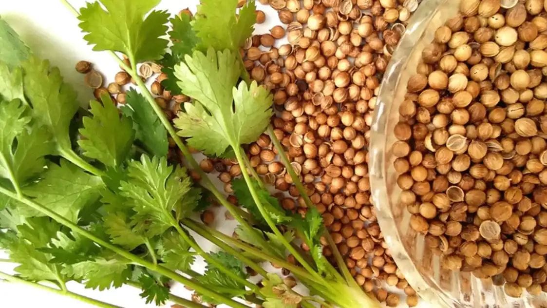 Health Tips: ఉదయాన్నే ఖాళీ కడుపుతో ఈ నీళ్లు తాగితే ఏమౌతుందో తెలుసా ?