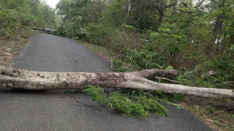 Maoists : మావోయిస్టుల అనాగరిక చర్యలతో గిరిజనులకు ఇబ్బందులు