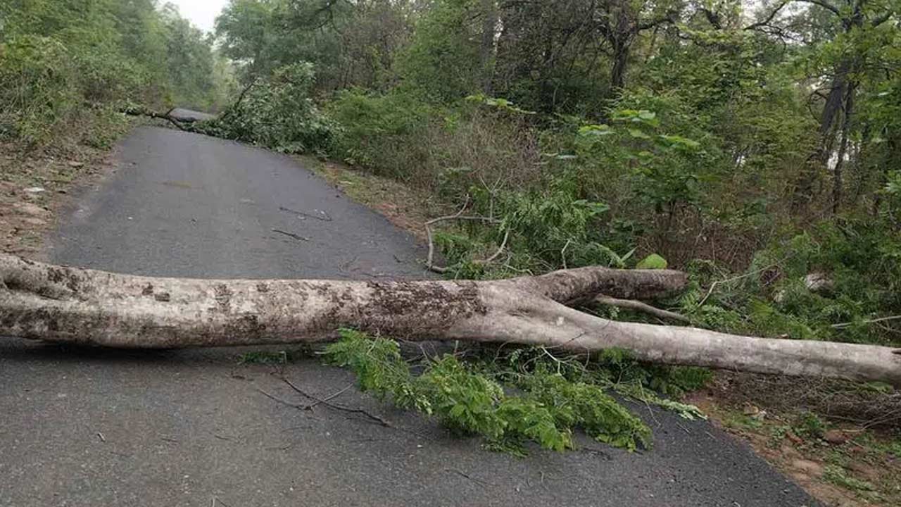 Maoists : మావోయిస్టుల అనాగరిక చర్యలతో గిరిజనులకు ఇబ్బందులు