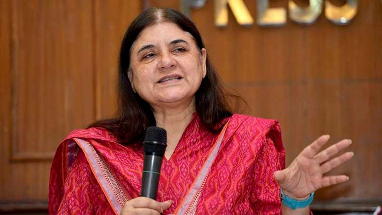 Maneka Gandhi: వరుణ్‌గాంధీకి టికెట్ దక్కకపోవడంపై తల్లి ఏమన్నారంటే..!