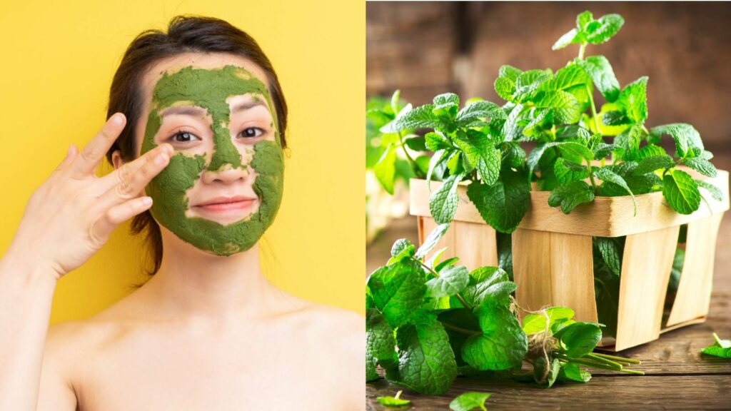 Mint For Skin Care