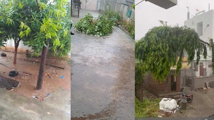 Rain in Telangana : తెలంగాణలో పలు చోట్ల భారీ వర్షం